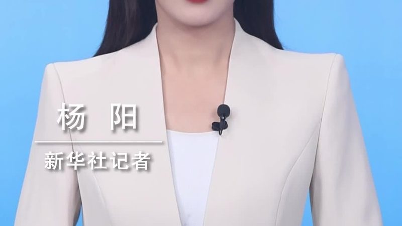 知识图谱在电商领域的应用：揭秘十大品牌布局与趋势